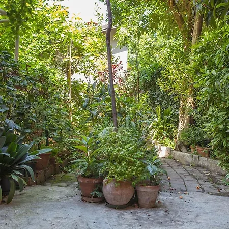 Il Nespolo Holiday home